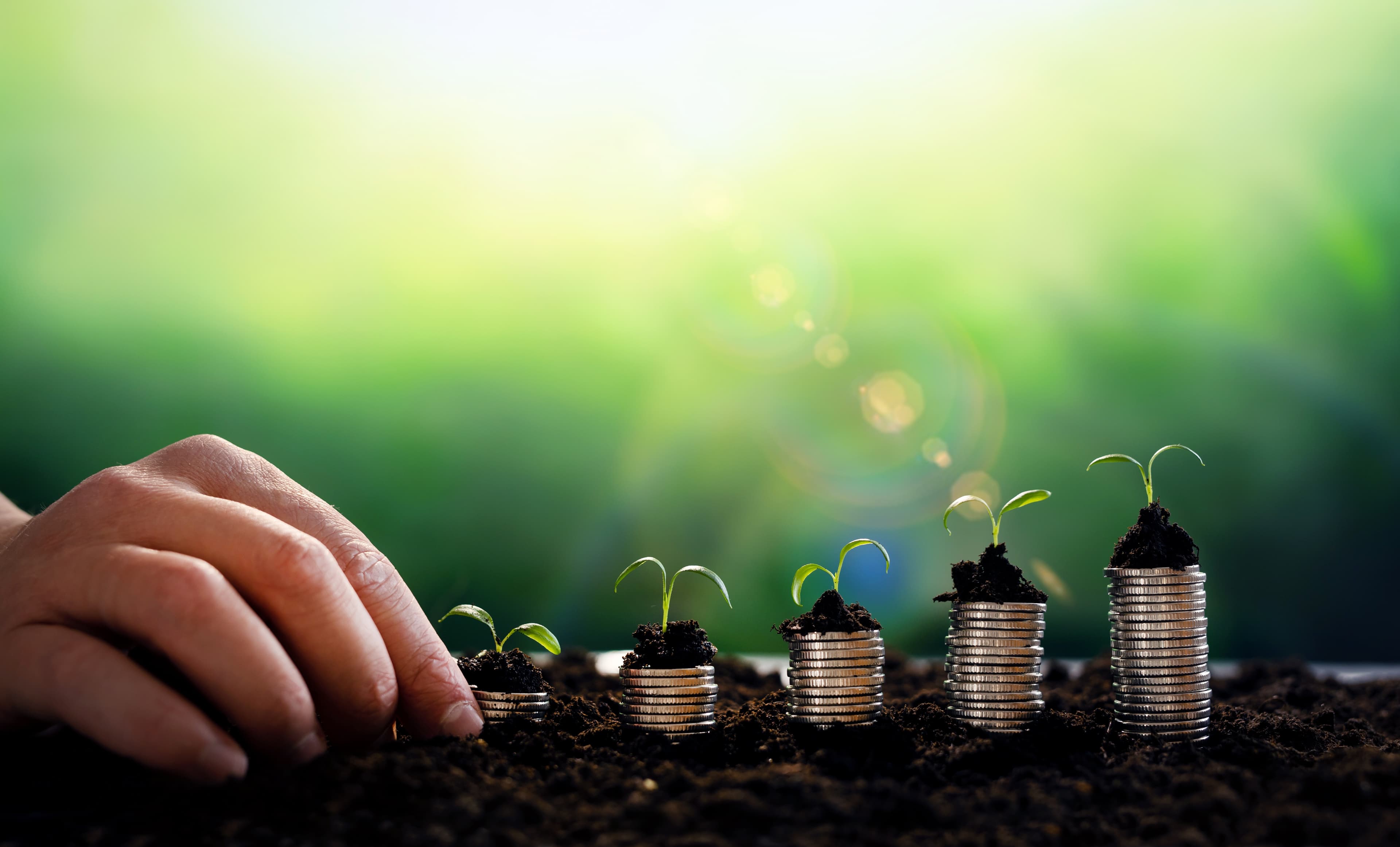 image illustrant l'article SCPI avis : placements rentables ou risques sous-estimés ?